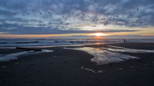 1651 Cape Disappointment, WA.jpg
