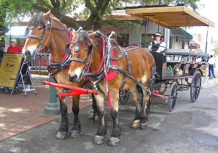 0217 Savannah, GA.jpg