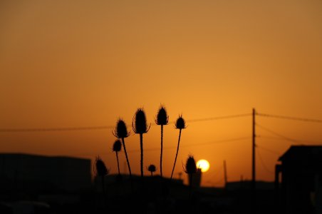 IMG_1401.JPG