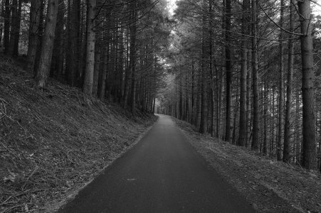 DSCF3408 Ilford.jpg