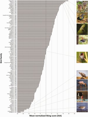 What Instagram Can Teach Us About Bird Photography: The Most Photogenic Bird and Color Preferences