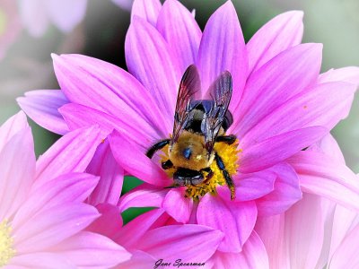 IMG_0631.JPG