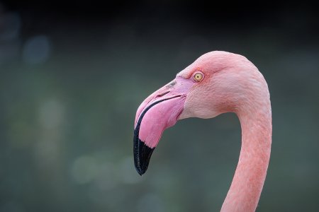 0S4A8115.jpg