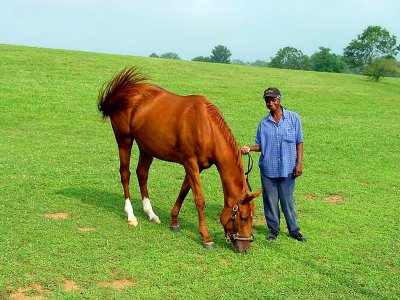 033 Keeneland Race Track, Lexington, Ky.JPG