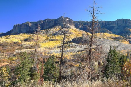 Owl Creek Pass area near Ridgway, CO.JPG
