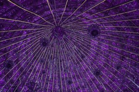 IMG_8064 Christmas decoration.jpg