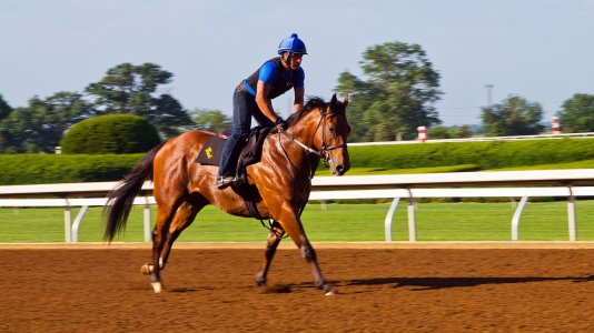 0894 Keeneland Race Course, KY.jpg