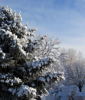 SnowStormBS0934_SVG002.JPG