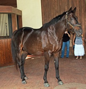 0278 Versailles, KY.jpg