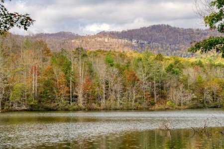 Nikon D850 D85_6562-s.jpg