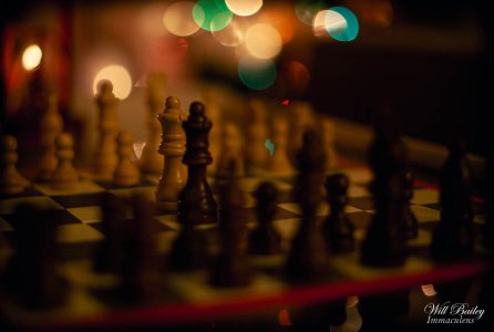 _MG_1681.jpg
