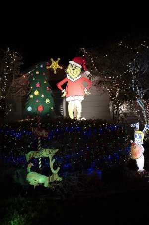 Grinch-xmas.jpg