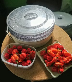 0821201624.jpg
