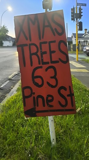 pine st.jpg
