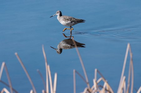IMG_2405.jpg