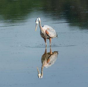 reflection-3.jpg