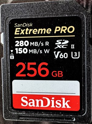 sandisk_sd_card-256gb-1.jpg
