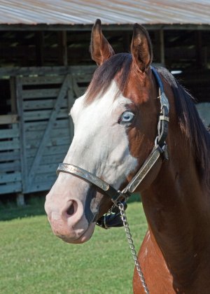 07-10-2010, Photo 02.jpg