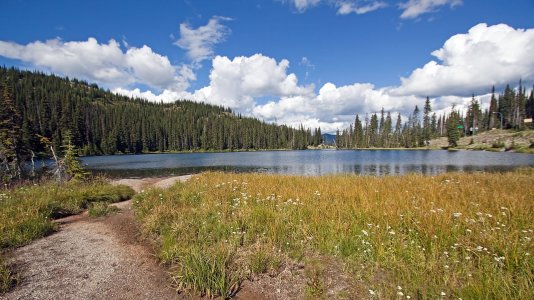 2706 Kooternay Pass, BC.jpg