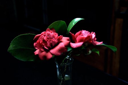 IMG_3892.JPG
