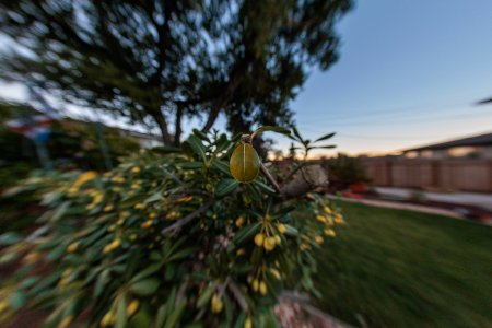 FoP-20241127-untitled-553A2645.jpg