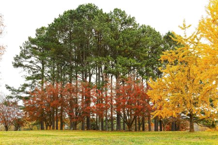 Canon R8 IMG_1004-s.jpg