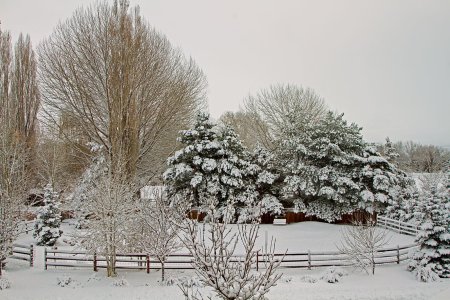 3410 Montrose, CO.jpg