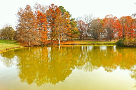 Canon R8 IMG_1053-s.jpg