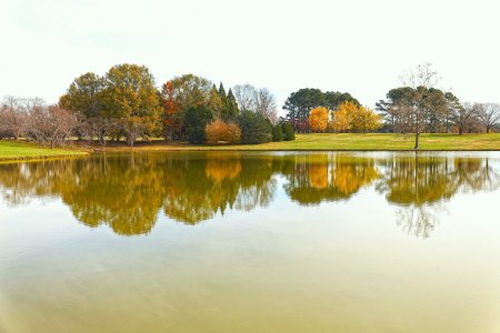 Canon R8 IMG_1060-s.jpg