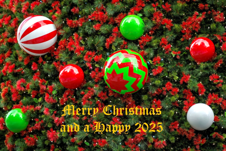 1733178202259.png 1733178202259.png