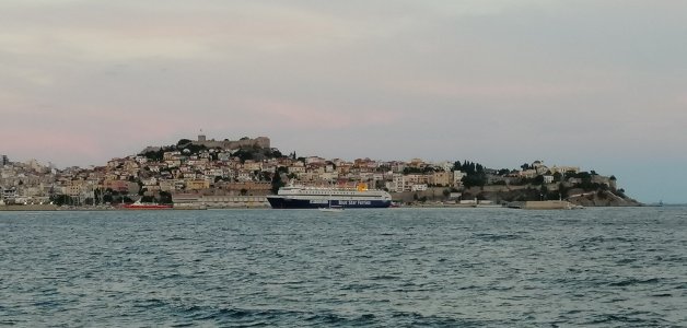IMG_20230808_202541.jpg