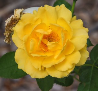 IMG_0118-COPY-1-WEB$.jpg