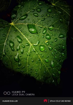 PicsArt_10-30-10.28.37.jpg