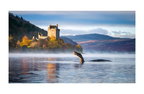 Untitled-1 copy.jpg Untitled-1 copy.jpg