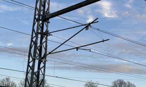 IMG_7437.jpeg