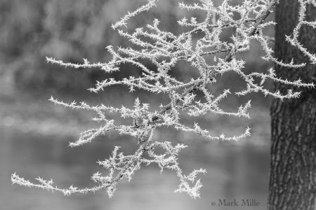 mille_121024_26-Enhanced-NR.jpg