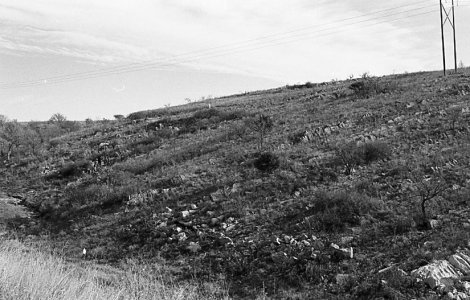 img308 (2).jpg img308 (2).jpg