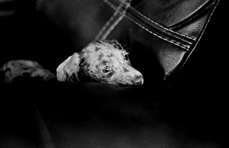 img299.jpg img299.jpg