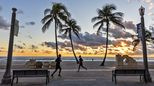 Sunrise-PalmTrees-Runners-Dec24-24_R62040.jpg