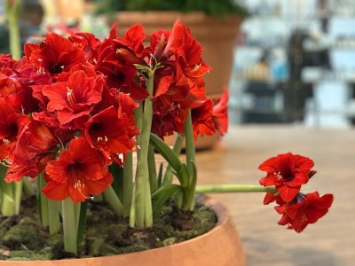 1735298980232.jpeg 1735298980232.jpeg