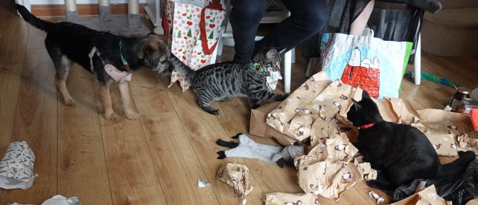 DSC08927.JPG DSC08927.JPG