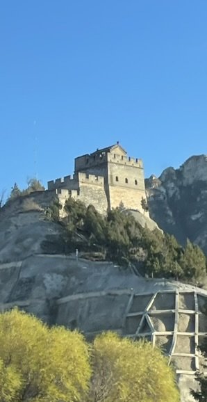 IMG_1677.JPEG