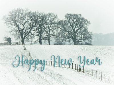 Happy New Year.jpg