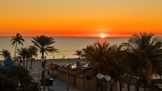 Sunrise-NewYearsDay2020_MED50716.png