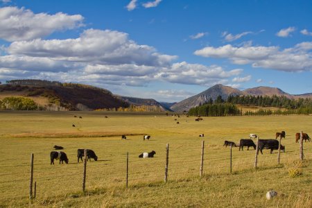 2997 Silver Pick Road, CO.jpg