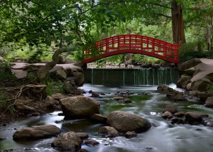 Cranbrook 6.23.24 77.jpg