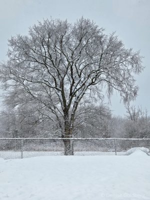 20250201_101158-X3.jpg