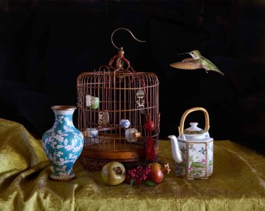 TM3_9367 - With Hummingbird - Small.jpg