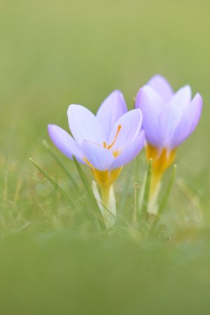 IMG_3728.jpg