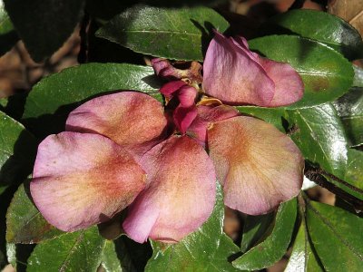 IMG_6787.jpg